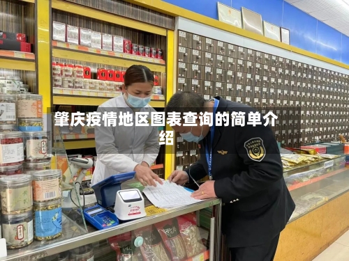 肇庆疫情地区图表查询的简单介绍-第2张图片