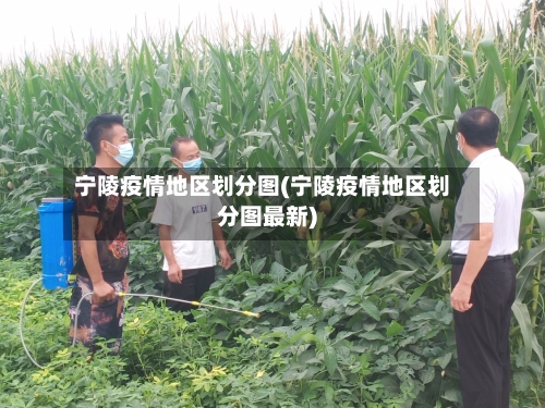 宁陵疫情地区划分图(宁陵疫情地区划分图最新)