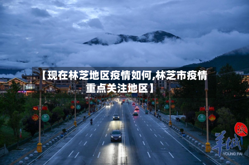【现在林芝地区疫情如何,林芝市疫情重点关注地区】-第2张图片