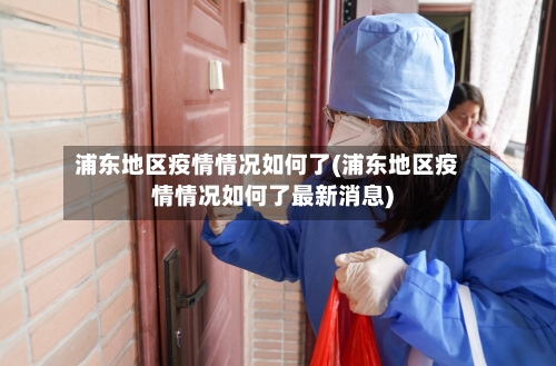 浦东地区疫情情况如何了(浦东地区疫情情况如何了最新消息)-第2张图片