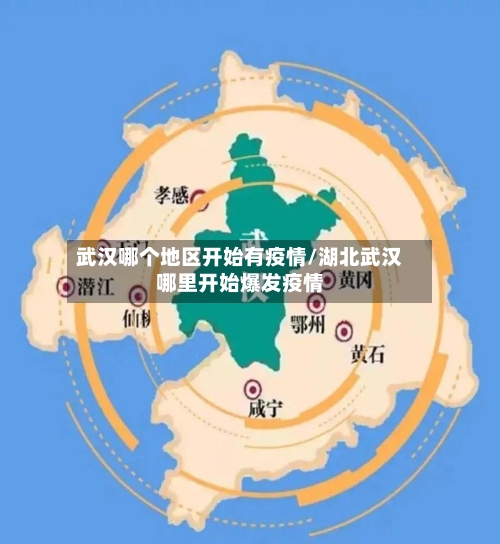 武汉哪个地区开始有疫情/湖北武汉哪里开始爆发疫情-第2张图片