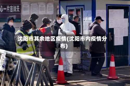 沈阳市其余地区疫情(沈阳市内疫情分布)-第2张图片