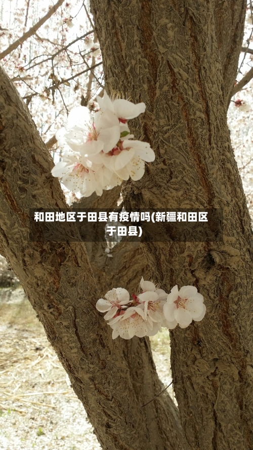 和田地区于田县有疫情吗(新疆和田区于田县)