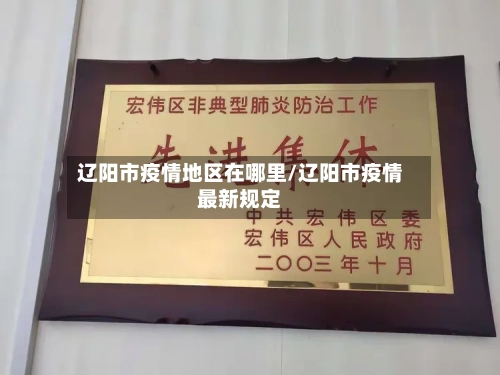 辽阳市疫情地区在哪里/辽阳市疫情最新规定-第3张图片