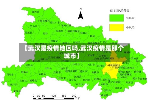 【武汉是疫情地区吗,武汉疫情是那个城市】-第3张图片