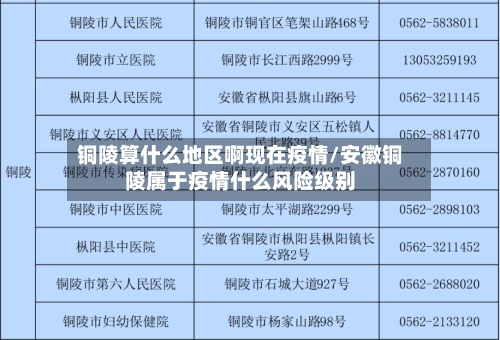 铜陵算什么地区啊现在疫情/安徽铜陵属于疫情什么风险级别-第3张图片