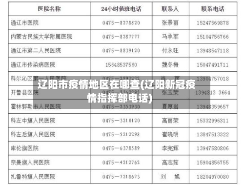辽阳市疫情地区在哪查(辽阳新冠疫情指挥部电话)-第2张图片
