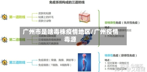 广州市是啥毒株疫情地区/广州疫情毒源
