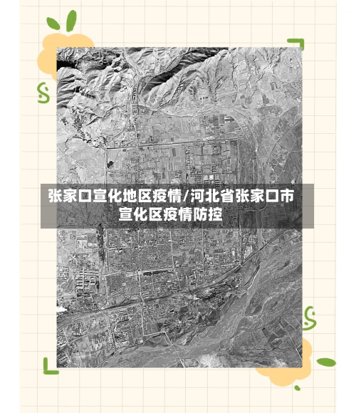 张家口宣化地区疫情/河北省张家口市宣化区疫情防控-第3张图片