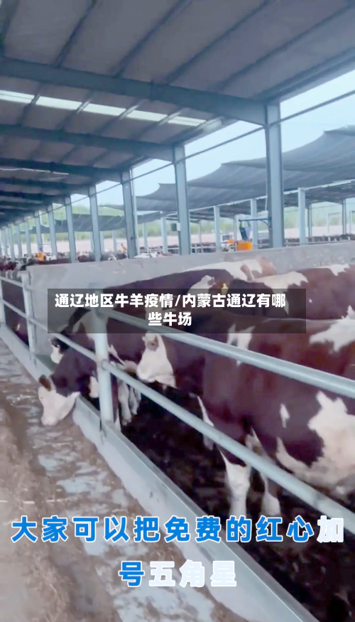 通辽地区牛羊疫情/内蒙古通辽有哪些牛场-第2张图片