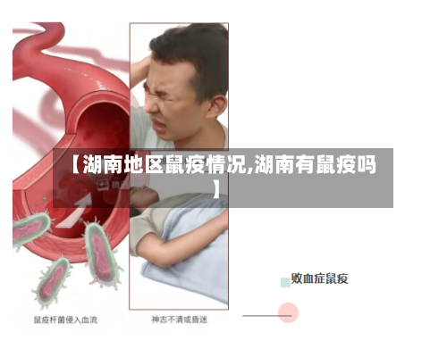 【湖南地区鼠疫情况,湖南有鼠疫吗】