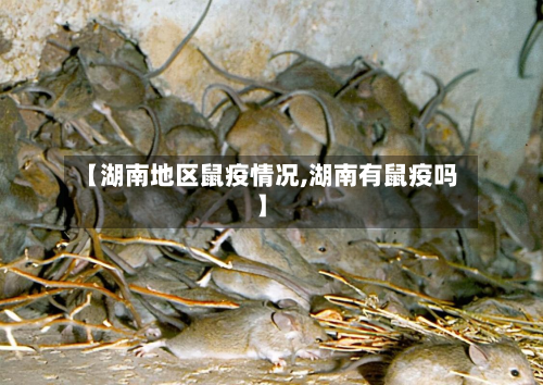 【湖南地区鼠疫情况,湖南有鼠疫吗】-第2张图片