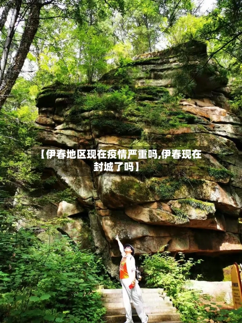 【伊春地区现在疫情严重吗,伊春现在封城了吗】-第2张图片