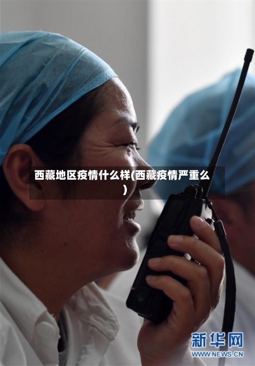 西藏地区疫情什么样(西藏疫情严重么)-第3张图片