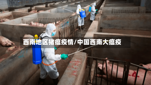 西南地区猪瘟疫情/中国西南大瘟疫-第2张图片