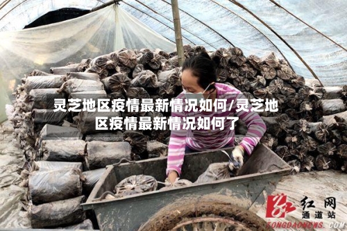 灵芝地区疫情最新情况如何/灵芝地区疫情最新情况如何了