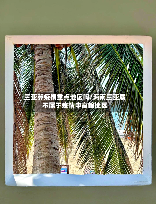 三亚算疫情重点地区吗/海南三亚属不属于疫情中高峰地区-第3张图片