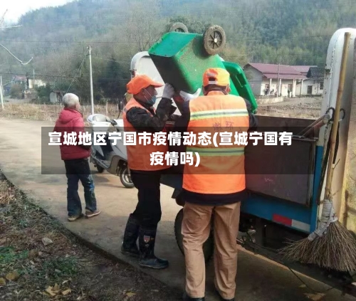 宣城地区宁国市疫情动态(宣城宁国有疫情吗)