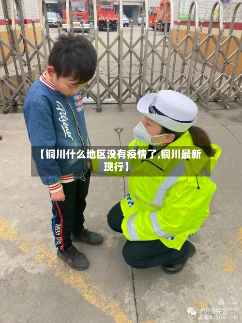 【铜川什么地区没有疫情了,铜川最新现行】-第3张图片