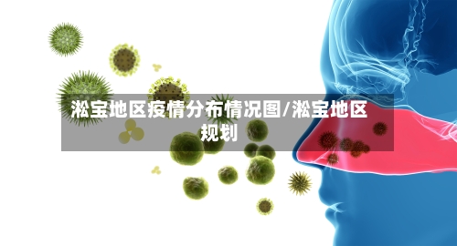 淞宝地区疫情分布情况图/淞宝地区规划-第3张图片