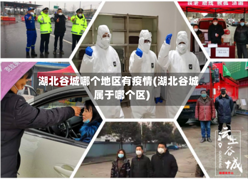 湖北谷城哪个地区有疫情(湖北谷城属于哪个区)-第2张图片