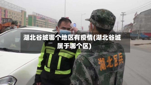 湖北谷城哪个地区有疫情(湖北谷城属于哪个区)