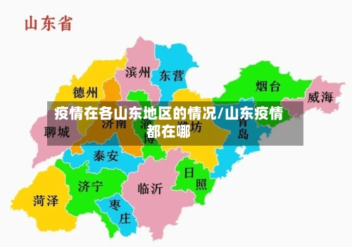 疫情在各山东地区的情况/山东疫情都在哪-第3张图片