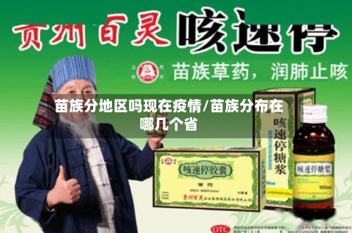 苗族分地区吗现在疫情/苗族分布在哪几个省-第2张图片