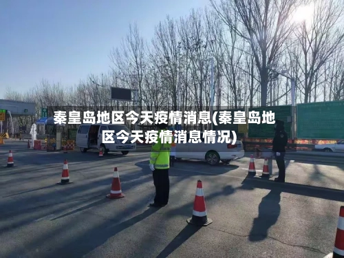 秦皇岛地区今天疫情消息(秦皇岛地区今天疫情消息情况)