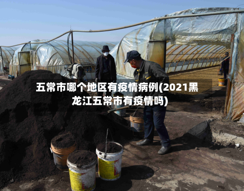 五常市哪个地区有疫情病例(2021黑龙江五常市有疫情吗)-第3张图片