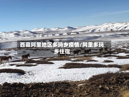 西藏阿里地区多玛乡疫情/阿里多玛乡住宿
