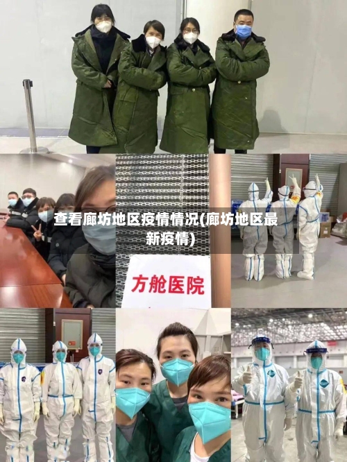 查看廊坊地区疫情情况(廊坊地区最新疫情)