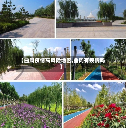 【曲周疫情高风险地区,曲周有疫情吗】-第2张图片
