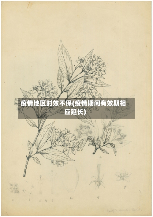 疫情地区时效不保(疫情期间有效期相应延长)-第2张图片