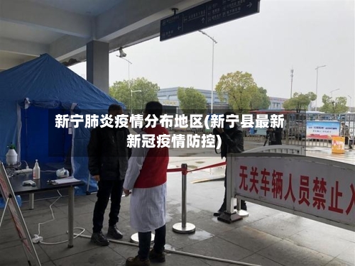 新宁肺炎疫情分布地区(新宁县最新新冠疫情防控)-第3张图片